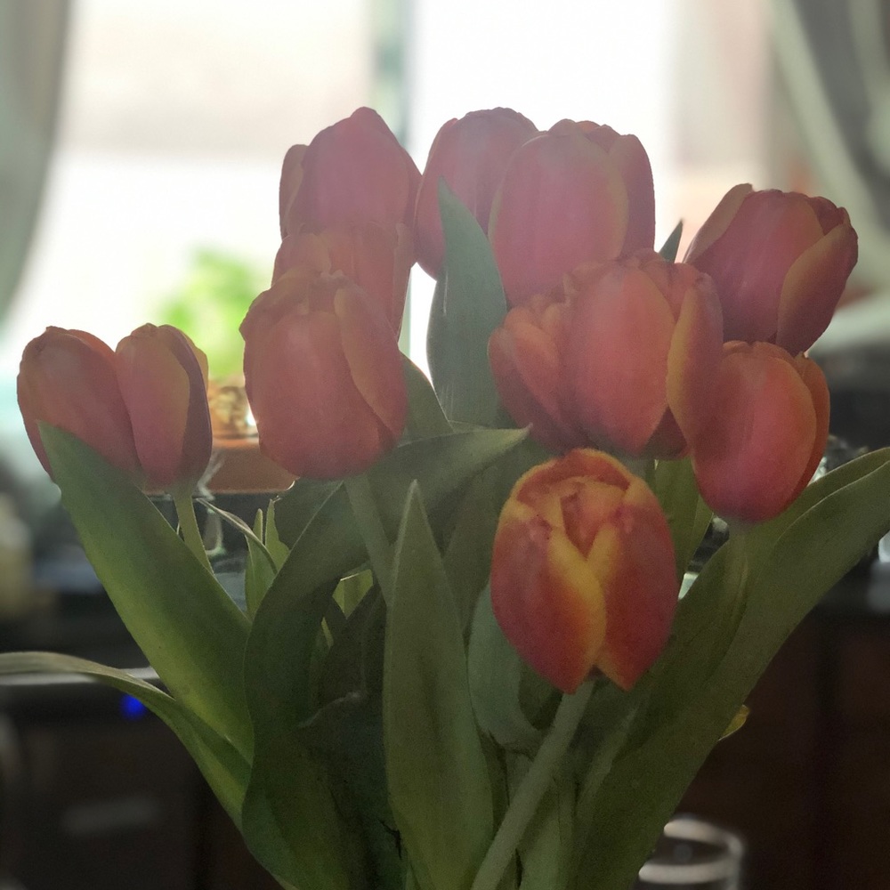 Meet your Posher, Leslie